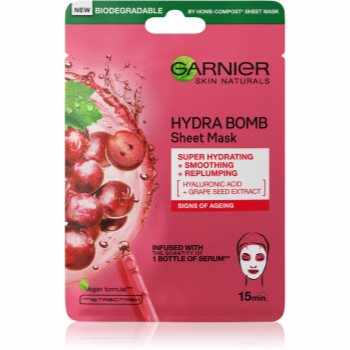 Garnier Skin Naturals Hydra Bomb mască textilă pentru netezire