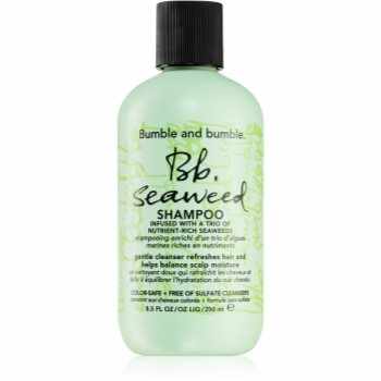 Bumble and bumble Seaweed Shampoo sampon pentru par cret cu extract de alge marine