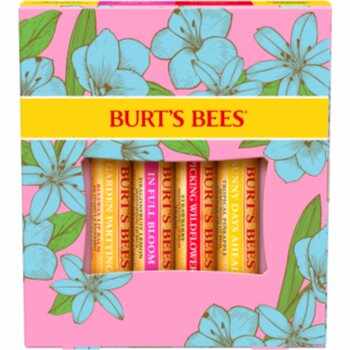 Burt’s Bees In Full Bloom set îngrijire buze